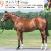 2021年　キャロットクラブ募集馬　新規検討③　関東牝馬