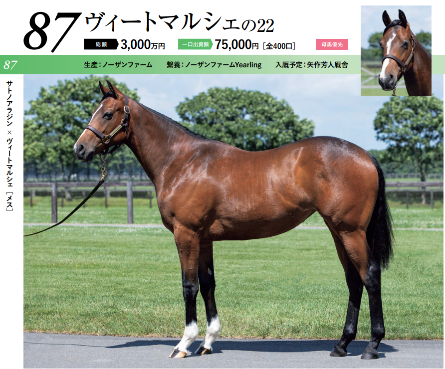 2023年 キャロットクラブ募集馬 新規検討④関西牝馬 | Kuro's Room