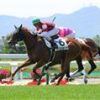 【２歳新馬】函館５Ｒ　ウインジェルベーラが好位抜け出す - サンスポZBAT！競馬