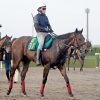 【ＰＯＧ】調教軽快なダンケルドが初陣から好ムード　鞍上は２週間の休養から復帰する